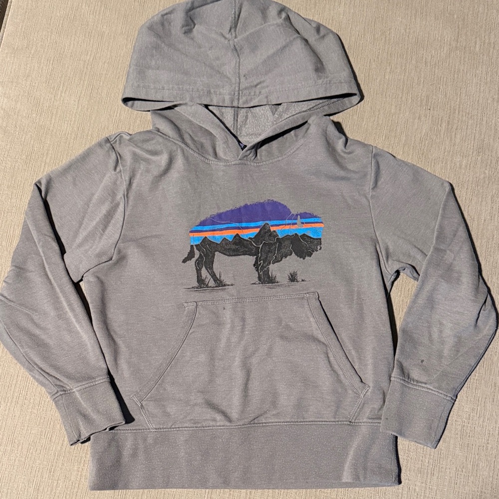 Kids Patagonia hoodie